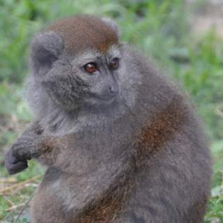 Sortie au zoo de Montpellier des MS