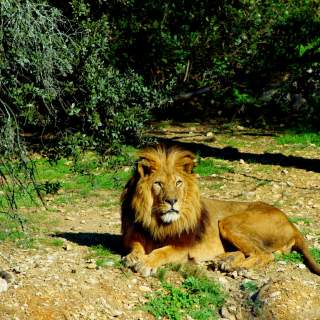 Sortie au zoo de Montpellier des MS