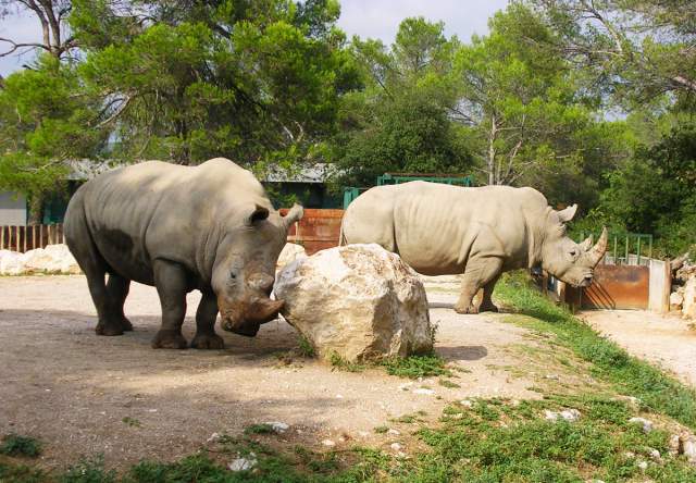 Sortie au zoo de Montpellier des MS